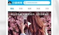 爆料二哈视频下载,爆款视频幕后下载攻略