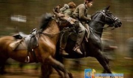 战马电影在线免费观看,免费在线观影，感受史诗般的骏马传奇