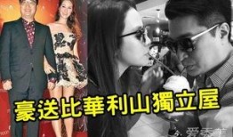 千亿媳妇爆料视频大全集,揭秘娱乐圈幕后真相