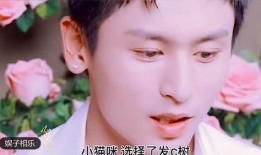 广东画室爆料视频大全集,揭秘艺术教育背后的故事