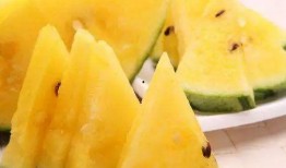 网红瓜奶片减肥可以吃吗,安全有效还是噱头？揭秘真相