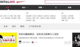 想爆料文案视频下载,想爆料文案背后的下载秘密
